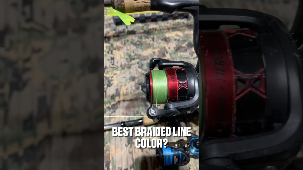 best cat fish hooks Circle Best Hook To Use For Catfish Pre-Tied Trophy Catfishing Leaders  Heavyweight Circle Hook 10/0