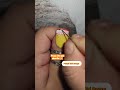 Easy Nail Art Design #shorts #short #nailart #nails #easy #simplenails #nail #treanding #trending UK