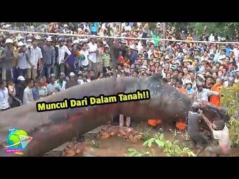 Video: Tempat Terbang Untuk Berehat Pada Tahun Baru