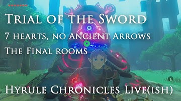 Part 7 - BotW Trial of the Sword (7 hearts, no Ancient Arrows, beating final trials)