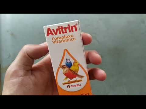 Vídeo: Complexo Vitamínico