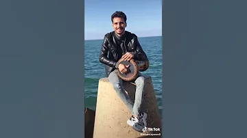 احلي طبله ف مصر ع وحده ونص 