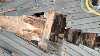 Lotus Removing The King Plank