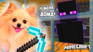 ЭНДЕРМЕН У МЕНЯ ДОМА! ПОСАДИЛА ЕГО В АКВАРИУМ В МАЙНКРАФТ ! MINECRAFT