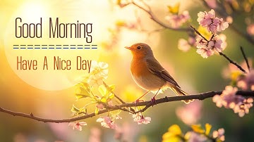 POWERFUL MORNING MUSIC - Wake Up with Deep Positive Energy - Morning Meditation Music For Relaxation