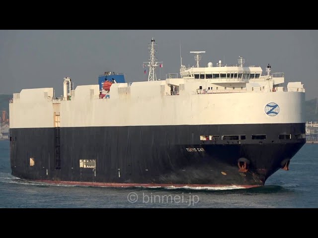 エミリオマリン sddefault.jpg