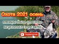 Лучшая охота этой осенью!Охота осень 2021/охота на утку осенью/охота на гуся осен/открытие АСТРАХАНЬ