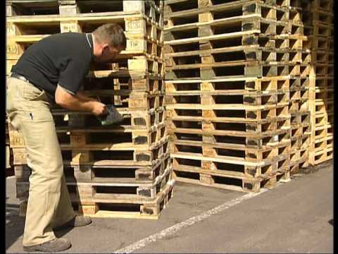 Video: Dove posso trovare i pallet di spedizione?