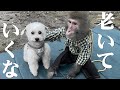15年一緒に暮らしたお猿さんがどんな風に老いてきているのかお見せします…