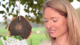 Hoe Voer Ik De Vogels In De Tuin? Esschert Design Vogels Voeren