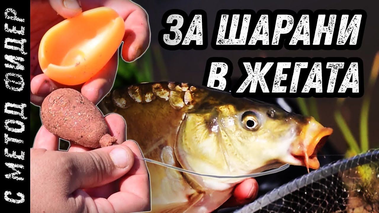 Ценни тънкости и МОНТАЖИ за ШАРАНИ на мач и фидер / За шарани в жегата