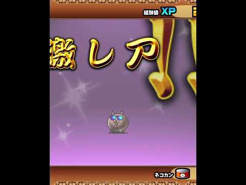 【にゃんこ大戦争】11連引いたら…#shorts #にゃんこ大戦争 #ゴミ引き