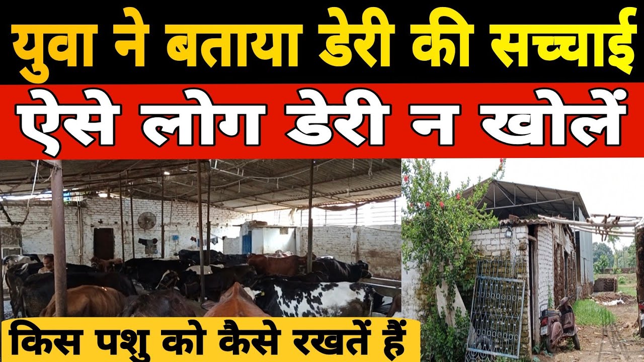 युवा ने बताया डेयरी की सच्चाई, ऐसे लोग न खोलें डेयरी/dairy farm patna bihar/hf farm/dairy business