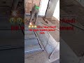 jalini migùu jamani uko hatarini fundi