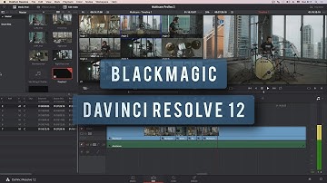 Multicamera NLE. Vegas vs Premiere vs Final Cut vs Edius. Part 6 of 7.  Davinci Resolve 12.