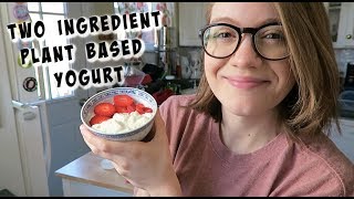 Two Ingredient Plant Based Yogurt  Easy!