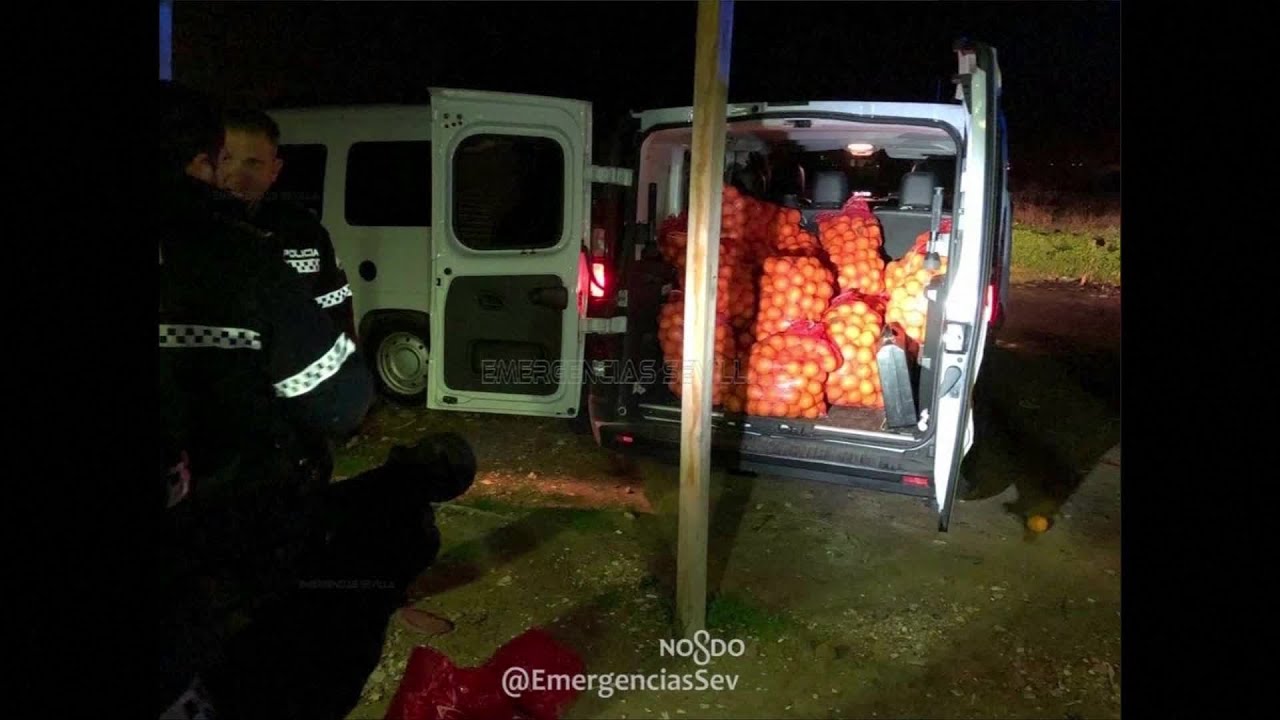 4 Tons Of Stolen Oranges Found In Spain