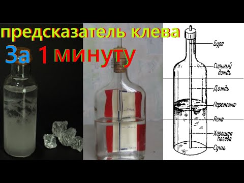 Супер Предсказатель Клева. За 1 минуту. Лайфхаки для рыбалки. советы для рыбалки