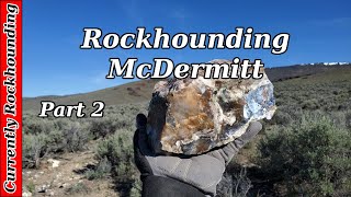 Rockhounding McDermitt // The Biggest Seam Agate Ever