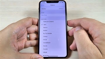 iPhone 11, 11 Pro & Max Ringtones (2019) IOS 13