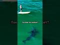 Unbelievable Great White Sharks Encounters #shark #greatwhiteshark #wildlife #ocean #shorts
