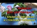 ЛАЙФХАК  ДЛЯ ЦВЕТОВОДА ! ХРАНЕНИЕ ЛИСТОВ И ЧЕРЕНКОВ, ЕСЛИ НЕТ ВРЕМЕНИ ПОСАДИТЬ !