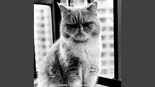 Understated (Kittens)
