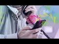 طريقة الاتصال بموظف خدمات شركة اثير زين العراق     