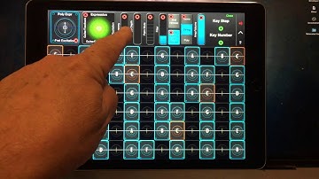 Application Note #32: Changing the Range of the Whammy