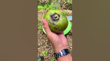 #shortsvideo #shorts #viralvideo #fruit #natural #video