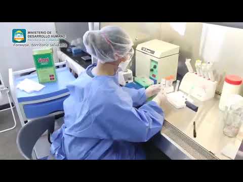 Coronavirus: Paso a paso, cómo es el procesamiento de las muestras en Formosa