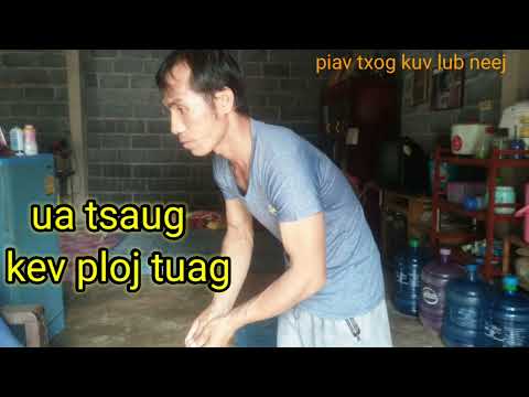 Video: Yuav Ua Li Cas Loj Hlob Chilies Sab Hauv Tsev (nrog Duab)