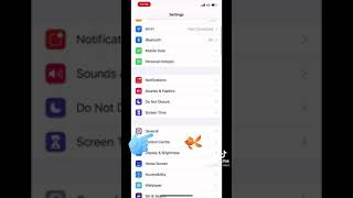 iPhone Xs Max/XS: How To Screen Record