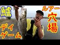 シーバスデイゲームでルアー釣りの穴場見つけました【茨城県】