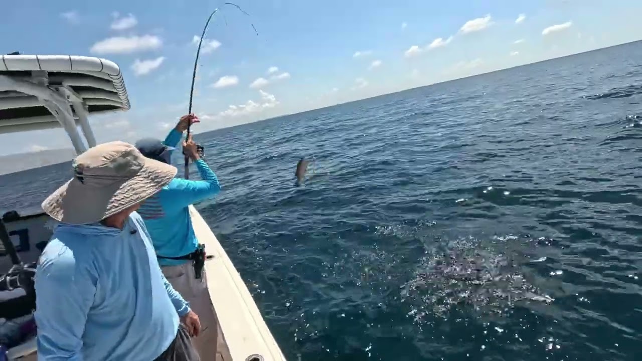 Mangrove Snapper Fishing Offshore Tampa Bay 08192025