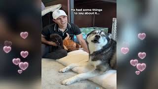 As Long As Theyre Not Like Bauer - An, Probably