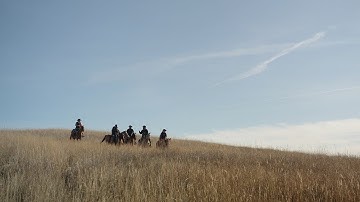 How Google AI is helping American small businesses