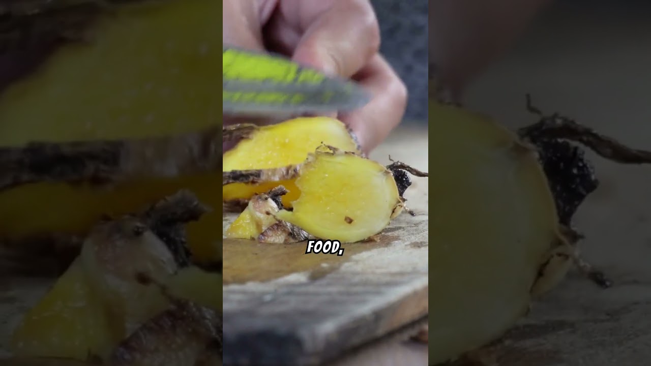 This YELLOW SPICE can CHANGE YOUR LIFE!