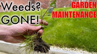 How to remove LAWN WEEDS! -  Fiskars Xact Weed Puller