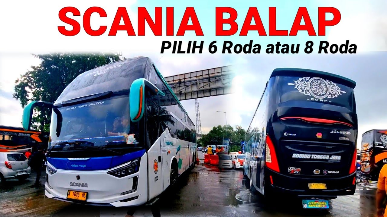 STJ DAN RIMBA RAYA || PESONA BUS PREMIUM MEMANG MENGGODA , ENAK DILIHAT ...