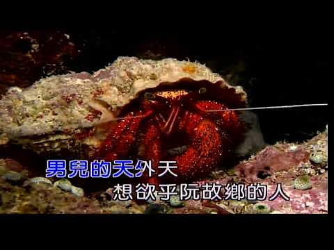 火車 羅大佑 男bDm調 伴奏導唱 金嗓