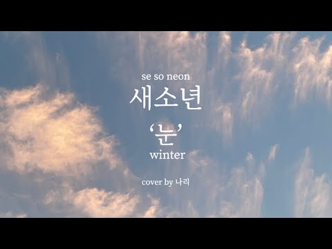 새소년 SE SO NEON - 눈 'Winter' (cover)