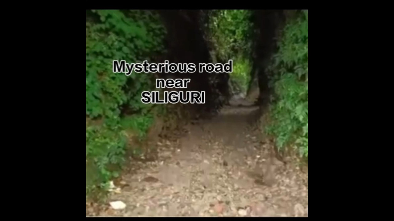 Mysterious road near Siliguri : MM Terai 