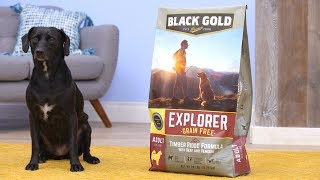 Black Gold Explorer Dog Food | Chewy