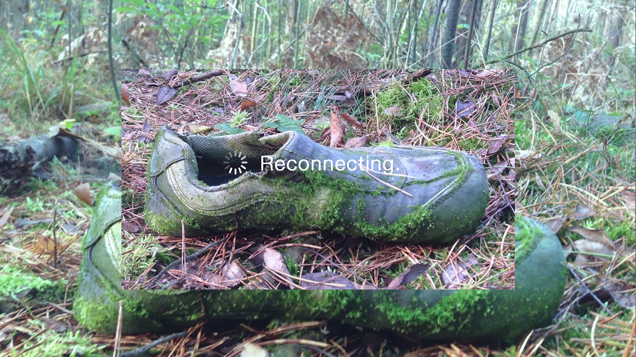 Molino & Lucidi + Matteo Cantaluppi - Reconnecting