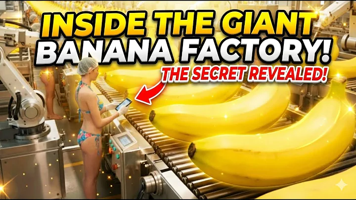 Inside a banana bread factory – An incredible automated production process