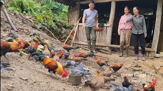 First time there are girls coming to Robert's farm. Green forest life (ep229)