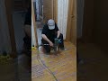 Fixing squeaky floor   Canada  Toronto