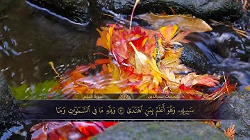 الختمة المكتوبة للقارئ هلويست نصرالدين - سورة النجم |HD