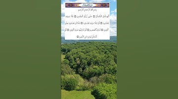 #سورة_التكاثر #سعد_الغامدي #راحة_نفسية ##قرآن_كريم #alquran #اكسبلور